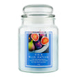 18Oz Jar Candle - Cosmic Escape 344735