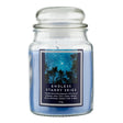 18Oz Jar Candle - Endless Starry Skies 344740