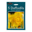 5 Dutch Master Daffodils 345748- DUTCH