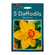 5 Quirinus Daffodils 345748-QUIRIN