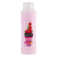 Alberto Balsam Raspberry Conditioner 350Ml | Poundstretcher 346911