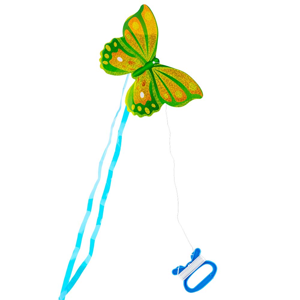 Butterfly Kite