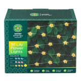 Lily Solar Lights 30 Pack