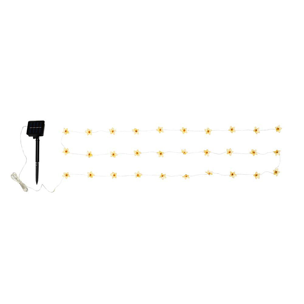 Lily Solar Lights 30 Pack