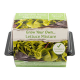 Speedy Seed Grow Your Own Lettuce Starter Kit