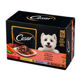 Cesar Selection In Sauce Adult Wet Dog Food Pouches 100g x 12 Pack