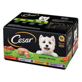 Cesar Garden Terrine Wet Dog Food Tray 150g x 8 Pack