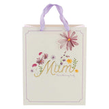 Mother's Day Large Gift Bag
