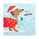 Animal Christmas Cards 10 Pack