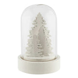 Christmas LED Glass Dome