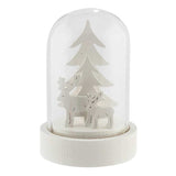 Christmas LED Glass Dome