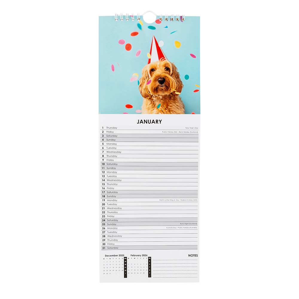 2026 Slimline Cats & Dogs Calendar