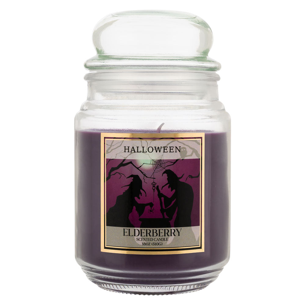 18oz Hocus Pocus Elderberry Scented Jar Candle