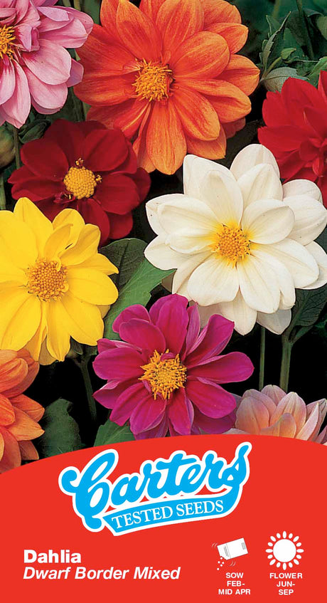 Flower Seeds Mix 247202