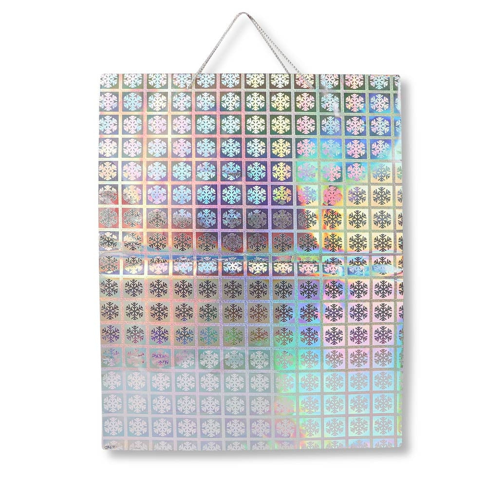 Jumbo Holographic Bag Silver | Poundstretcher  332469-SILVER