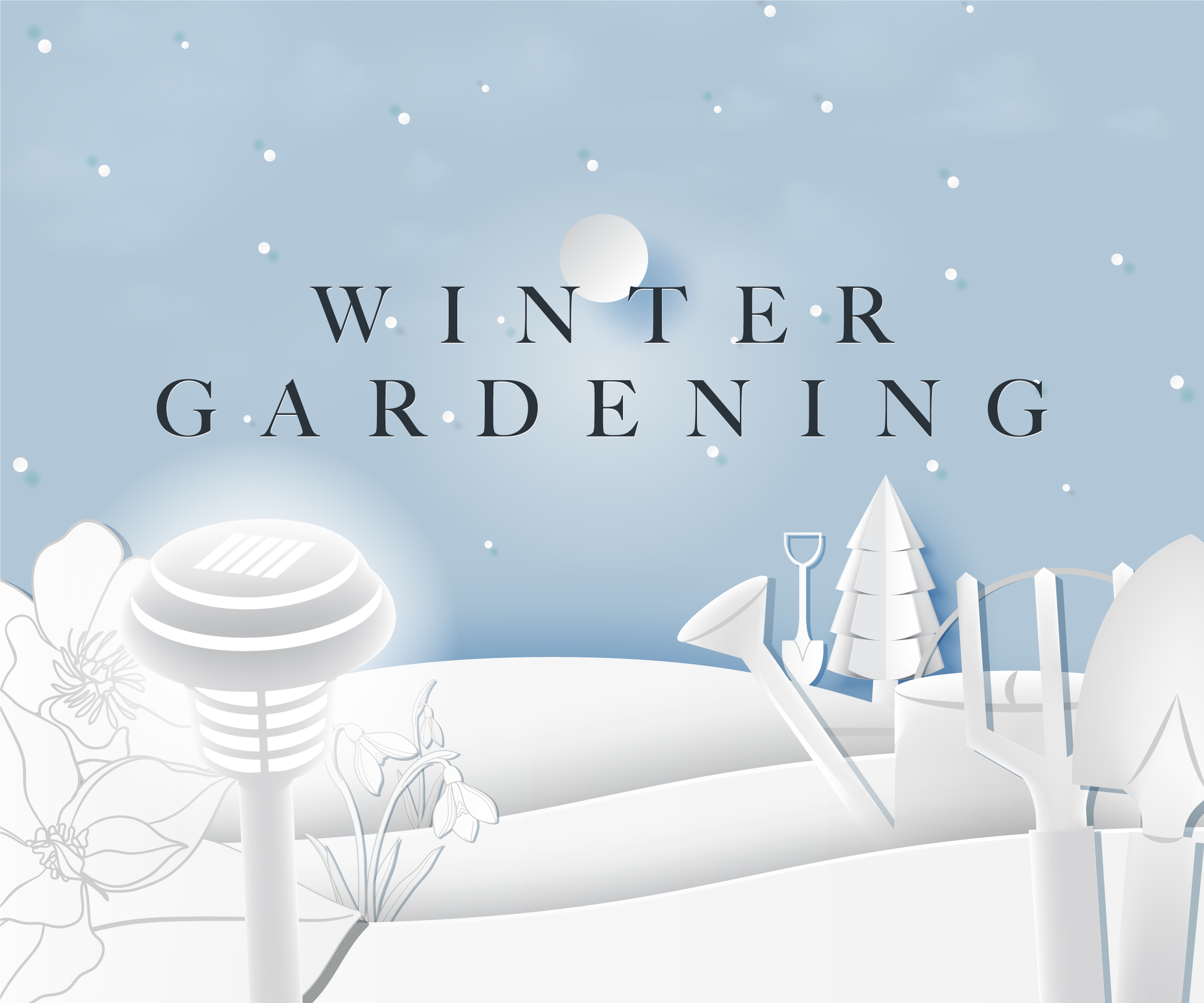 Winter Gardening Image 