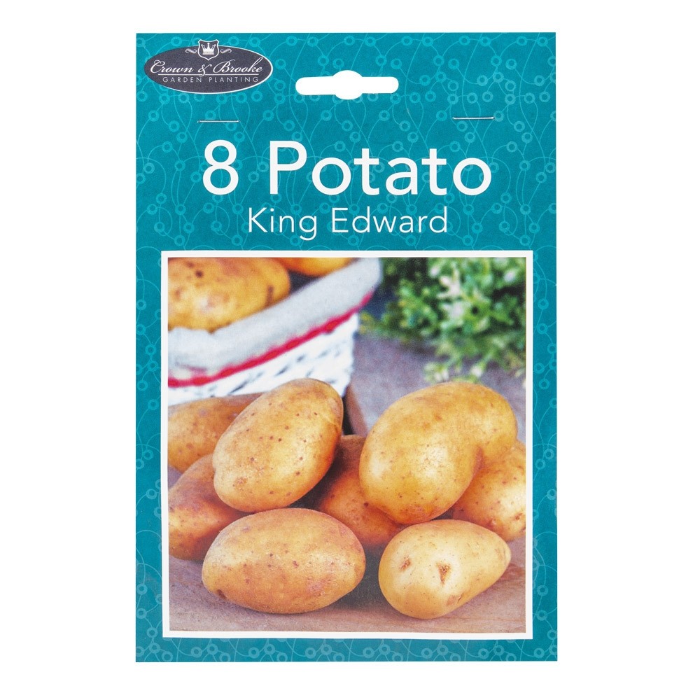 8 KING EDWARD POTATO BULBS