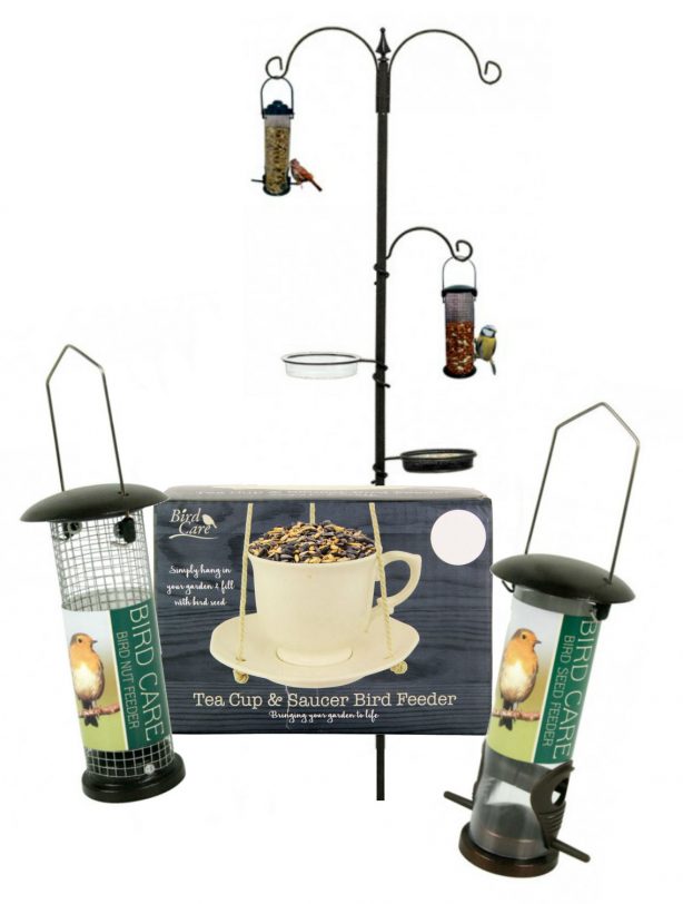 Get Set For The Big Garden Birdwatch 2019 Poundstretcher