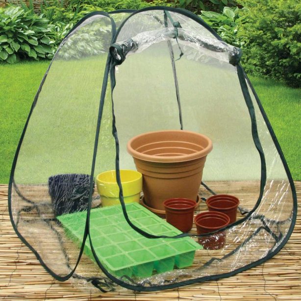 Mini pop-up greenhouse for your garden