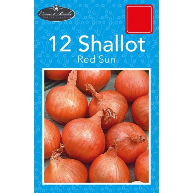 A packet of Shallot seeds from Poundstretcher