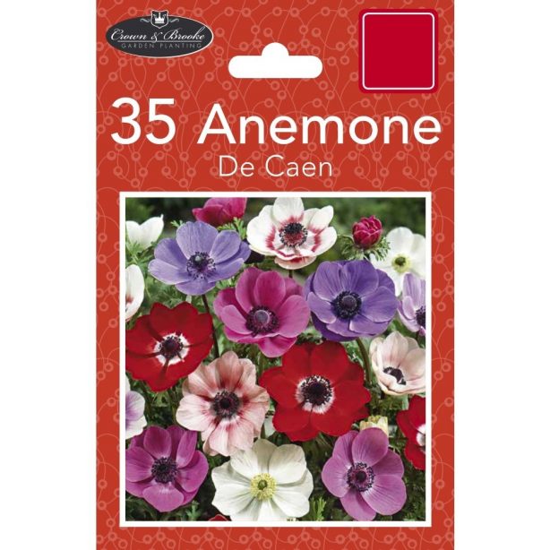 A packet of Anemone de Caen bulbs