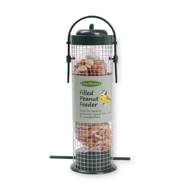 Bird feeder filled with peanuts